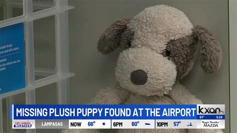 Happy ending! Stuffed toy left at AUS returned to owner